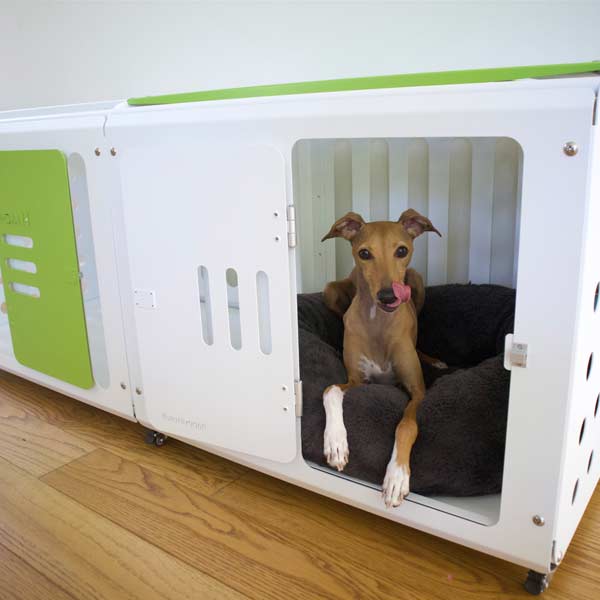 ABOUT | happyinuself