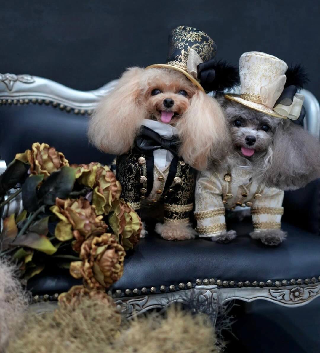 世界で一着のオーダーメイド服を作ろう！『ハンドメイドドッグウェア