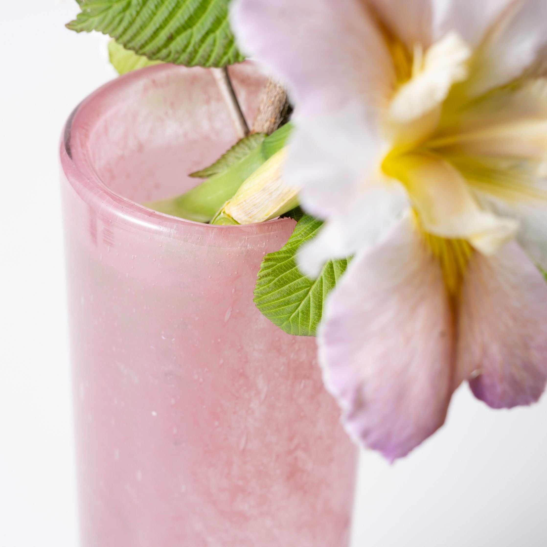 Pipe XL ブロッサム