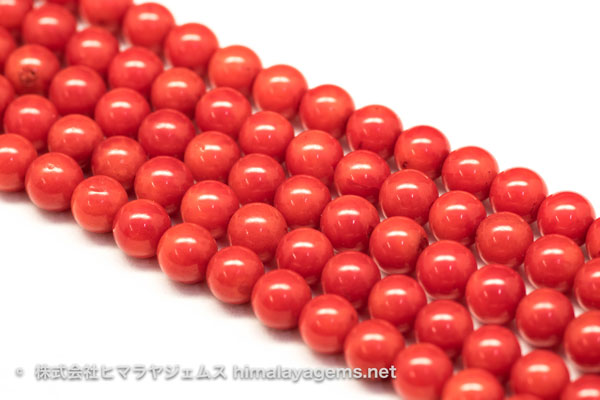 赤珊瑚 | 株式会社ヒマラヤジェムス