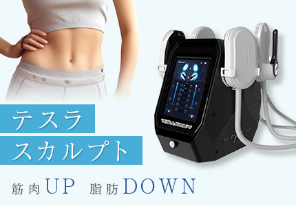 大阪・堺市中区でテスラスカルプの痩身治療｜ひふみるクリニック