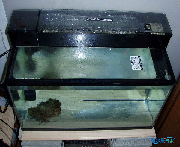 上部ろ過槽（上部フィルター）の使用方法～ろ過能力が高く初心者にも