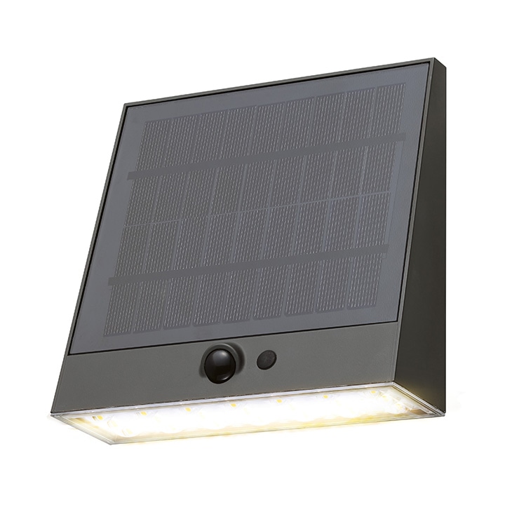 孤光のフェニックス 4枚セット 非foil 孤光のフェニックス 4枚セット