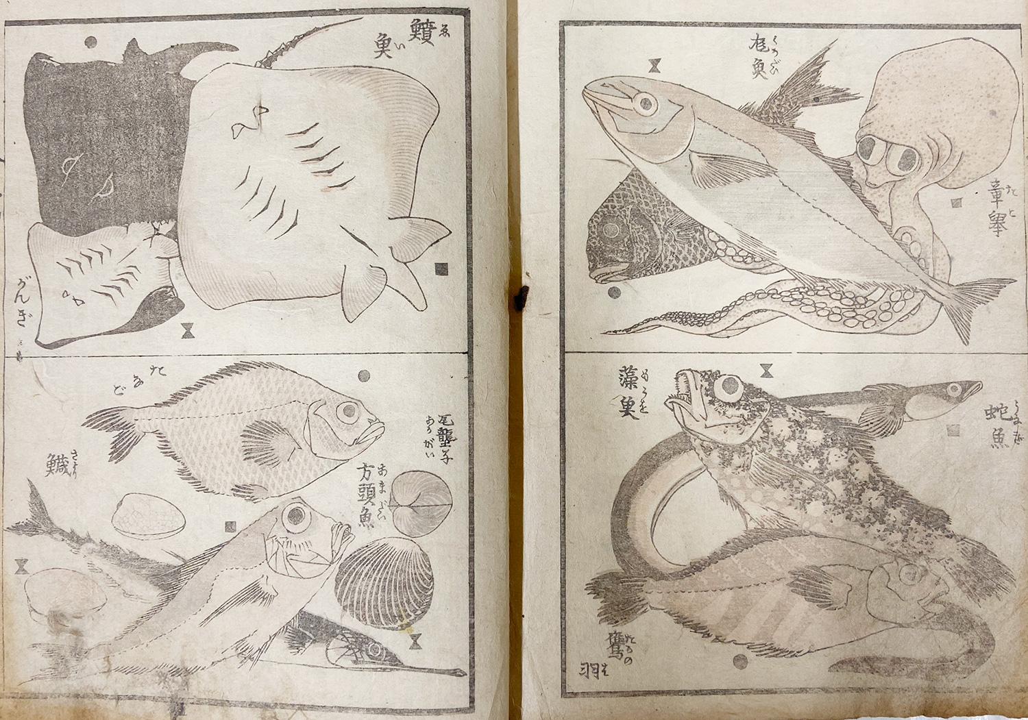 あ*ら様 斉白石の「九魚図」 あ*ら様 斉白石の「九魚図」 あ*ら様 斉