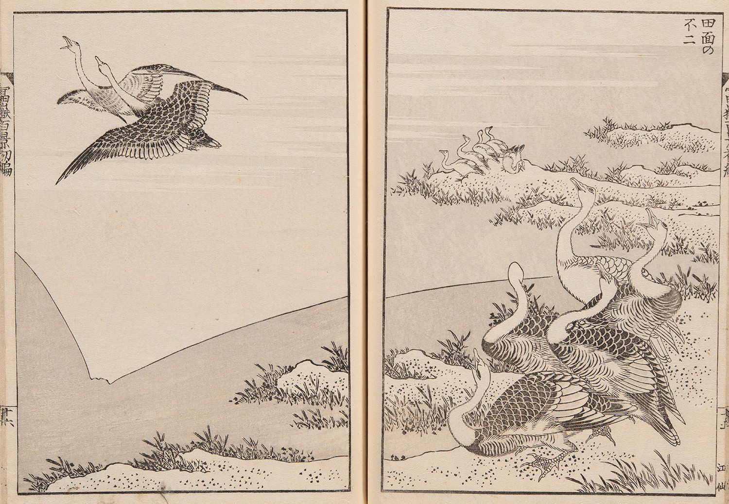 X3861』小野湖山 天野方壺 幽石図 画賛 X3861』小野湖山 天野方壺 幽石