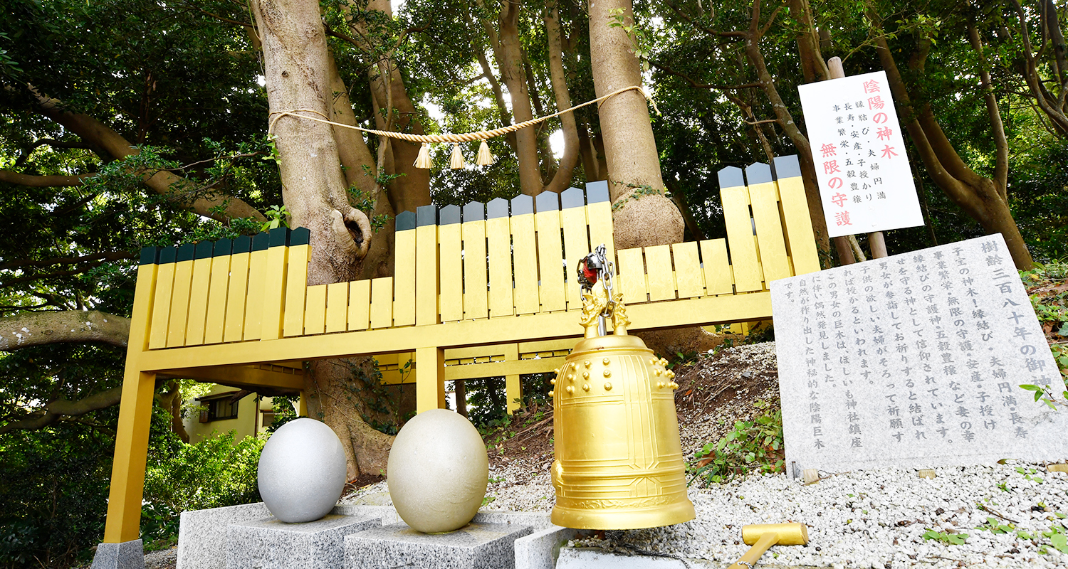 御神木について SACRED TREE｜ほしいも神社 - 堀出神社