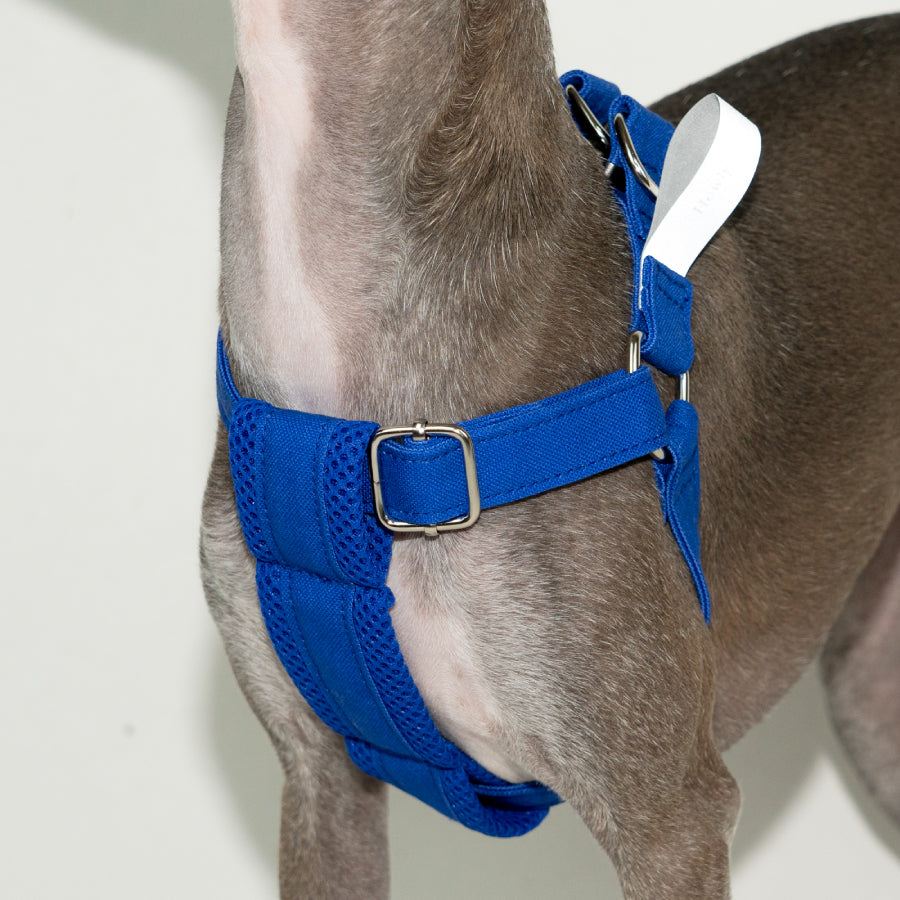 HOWLY UNIVERSAL HARNESS | Howly | シンプルで洗練されたドッグ