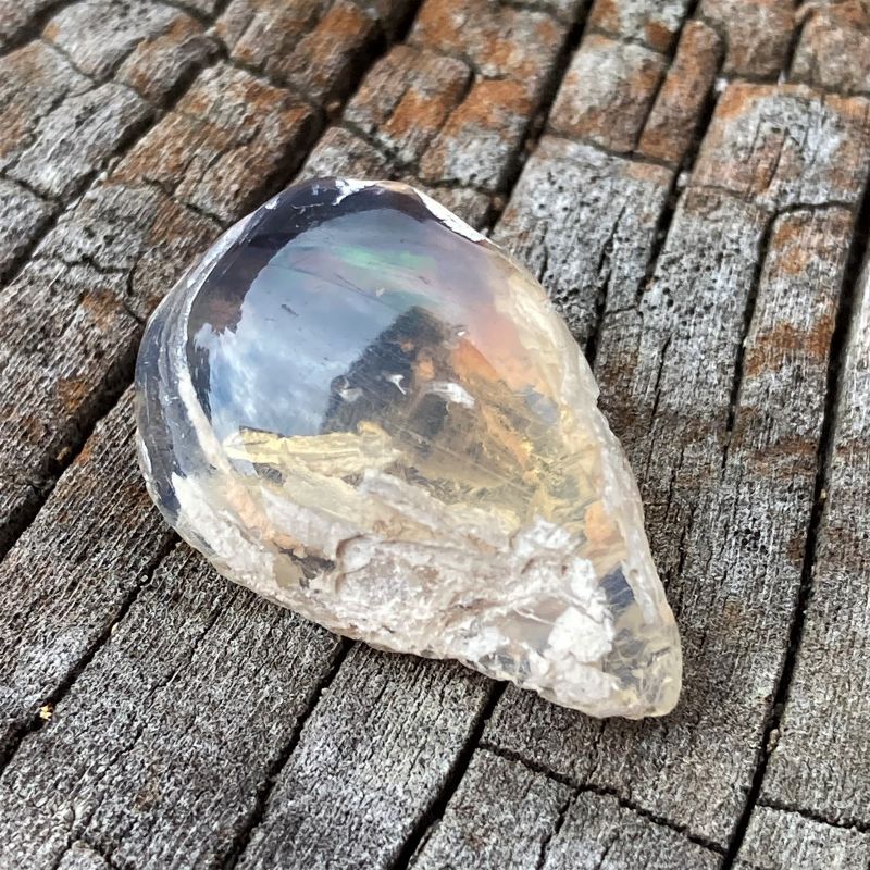 シェルオパール 貝オパール オパール化貝化石 シェルオパール貝