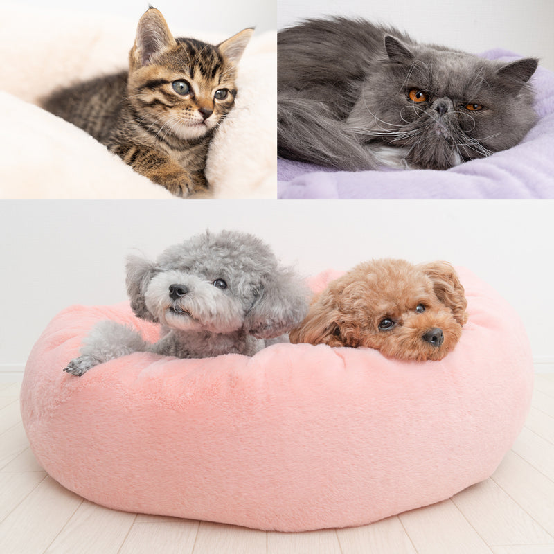 カバーのみ】プレミアムマシュマロクッションベッド ショート