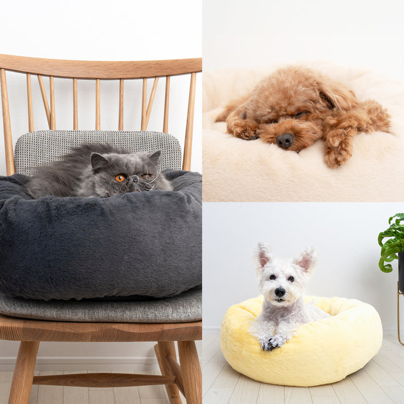 カバーのみ】プレミアムマシュマロクッションベッド ショート