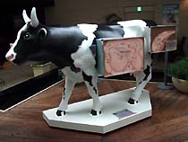 Cow Parade【カウパレード】 〈M〉 Cattle of Britain | ○ Brand,Cow