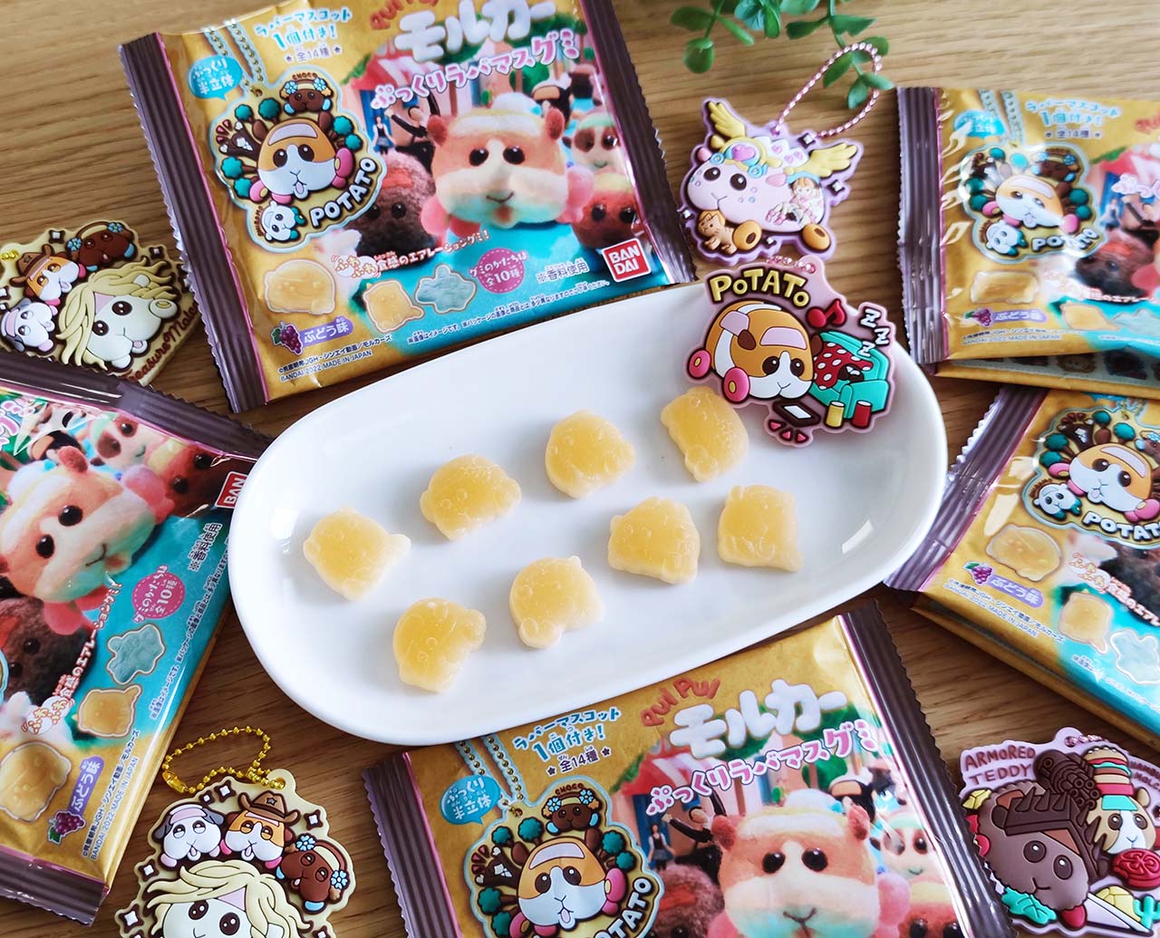 新作グミ実食速報】癒し効果絶大！「PUI PUI モルカー ぷっくり