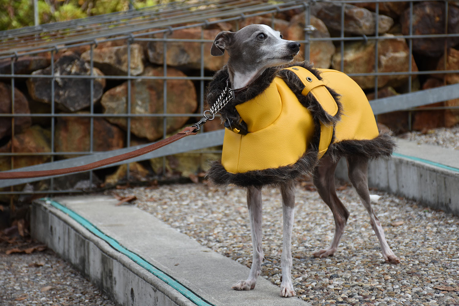 イタグレ服◇IG WORKS（アイ・ジー・ワークス）◇