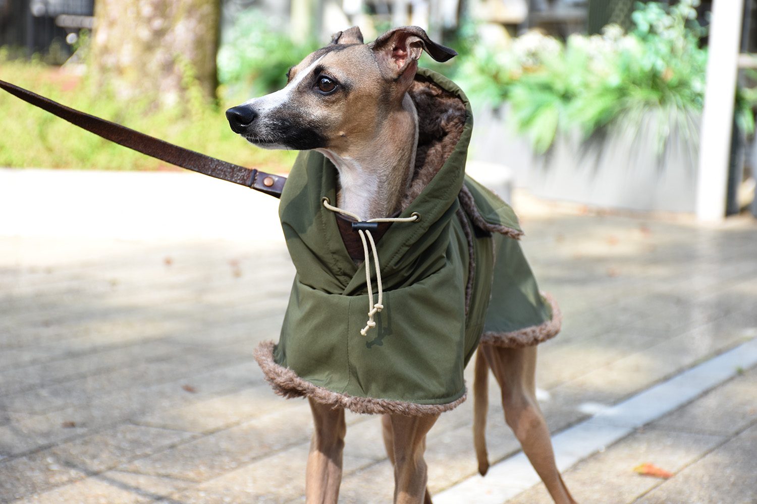 イタグレ服◇IG WORKS（アイ・ジー・ワークス）◇