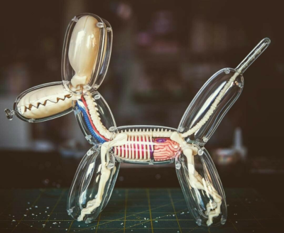 4DMASTER Balloon Dog Anatomy バルーンドッグ Amazon.com: Balloon