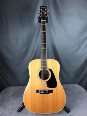 Morris MV-701 アコースティックギター Acoustic Guitar Morris MV-701