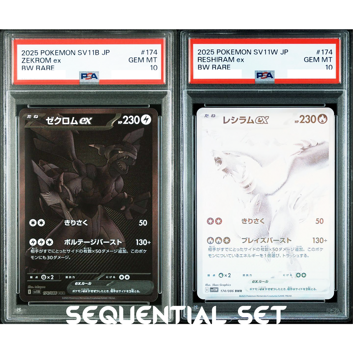 ゼクロムex #174 PSA 10 BW RARE Zekrom ex #174 Prices | Pokemon