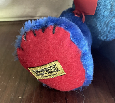 Merrythought Rainbow Cheeky 17