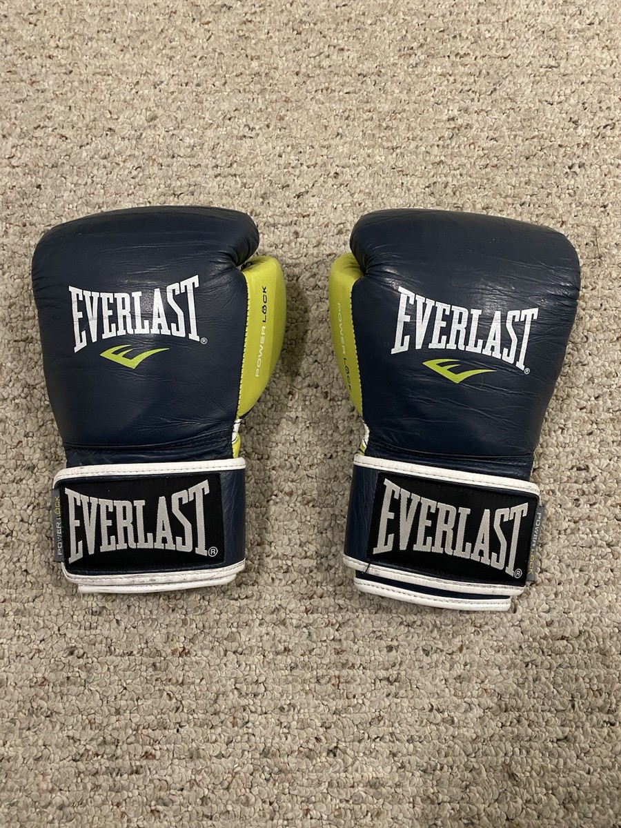 EVERLAST ボクシンググローブ 12oz ブラウン ボクシング グローブ