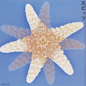 劇場版 優しいスピッツ a secret session in Obihiro - Album by SPITZ