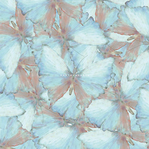 春ねむり | Spotify