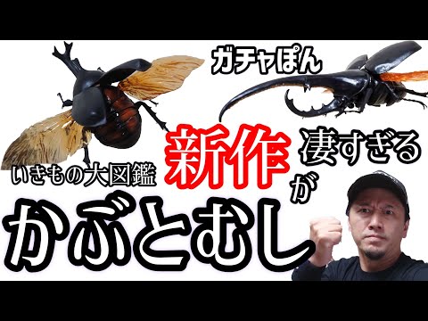 ちゃんねるカワランド】カワモト文明 - YouTube