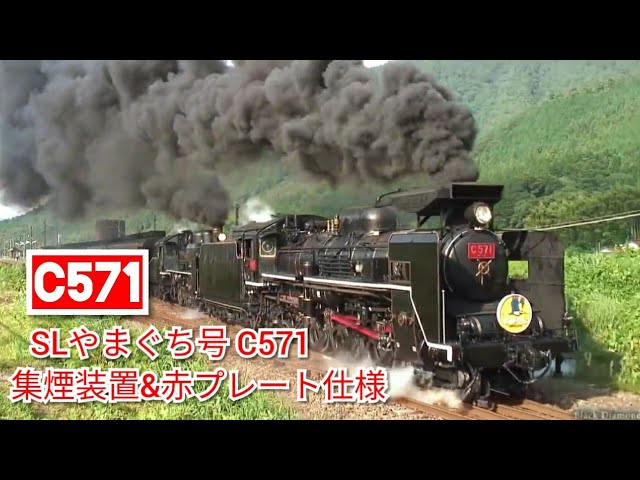 SL 鉄道プレート 蒸気機関車 D51507 SL 鉄道プレート 蒸気機関車