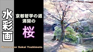 満開の桜風景 京都哲学の道にて 水彩画 酒井芳元 - YouTube
