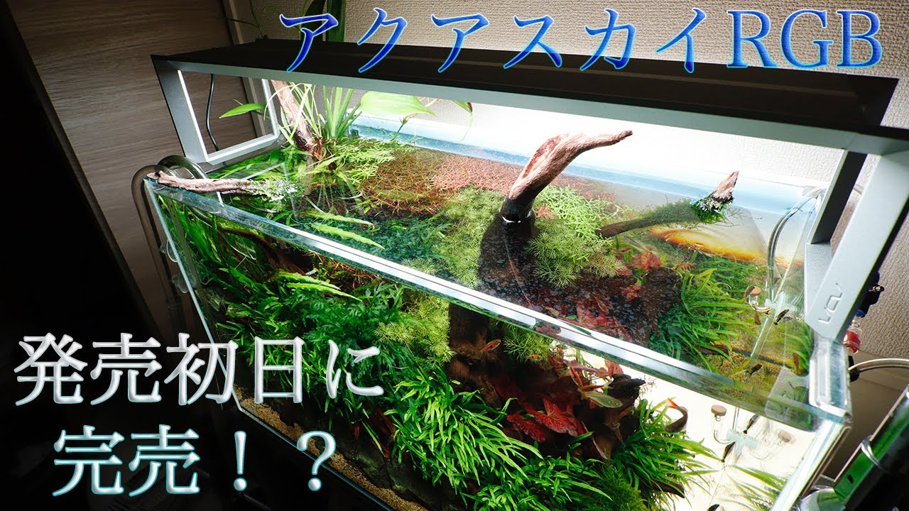 アクアスカイ361 ADA アクアスカイ 361 ADA アクアスカイ・ムーン 361