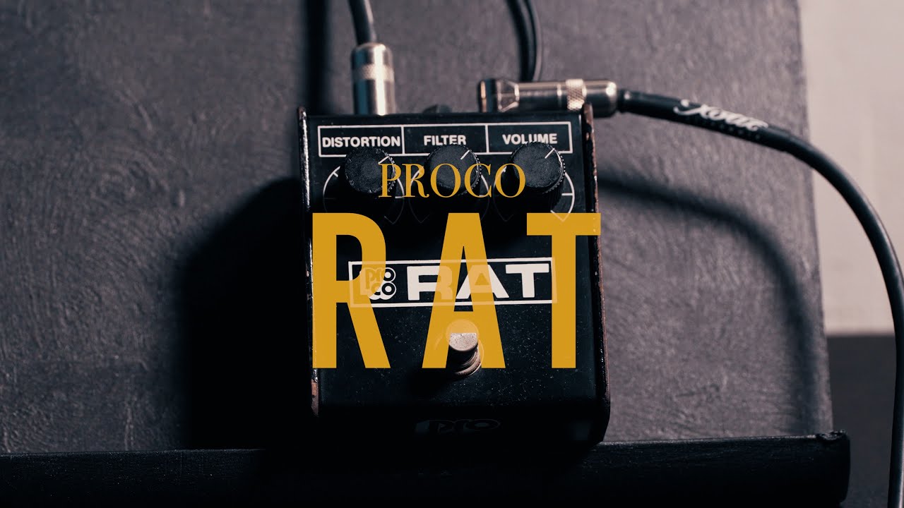 PROCO RAT - YouTube