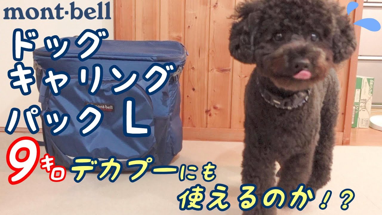 Mont-bell] Dog Carrying Pack L Review Video [mont-bell] - YouTube