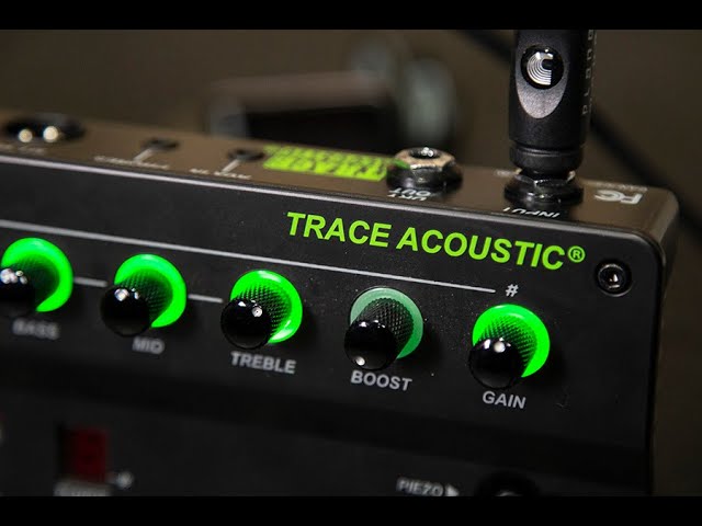 Trace Elliot Transit-A pre-amp and effects pedal - Acoustic Review