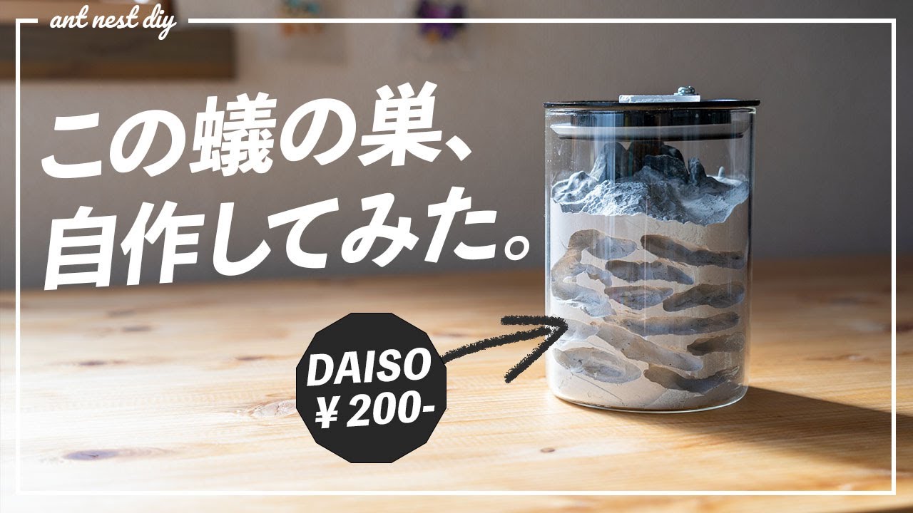 蟻の飼い方 アリ飼育ケース 石膏巣 特大