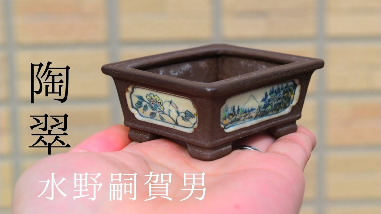 陶翠 風神雷神 長方 盆栽鉢 陶翠 風神雷神 長方 盆栽鉢 陶翠 風神雷神