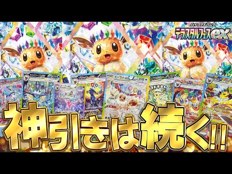 テラスタルフェスex ブイズ 9枚セット テラスタルフェスex ブイズsar 9枚