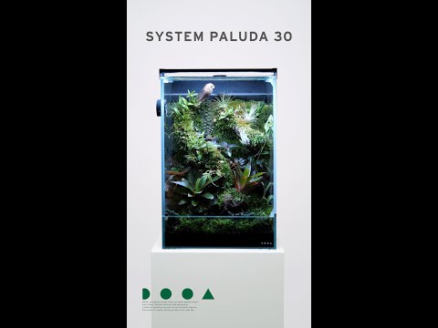 ADAview] DOOA System Paluda 30 Layout システムパルダ30 レイアウト