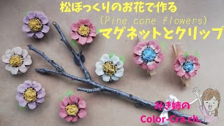 松ぼっくりのお花で作るマグネットとクリップ。/Pinecone /Pinecone