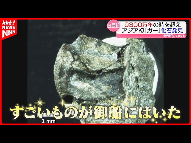 During a dinosaur fossil survey, some people thought, 