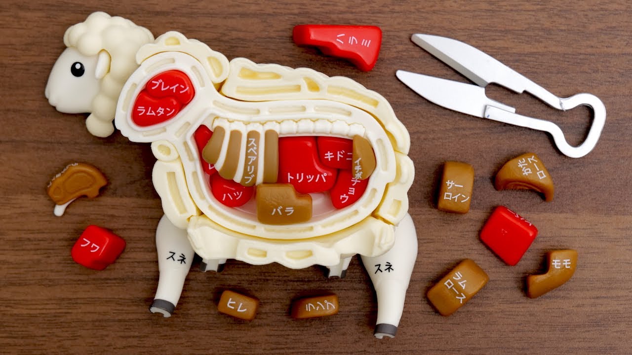 羊の解体パズルとルームツアーを少し。Sheep Dissection Puzzle. Room