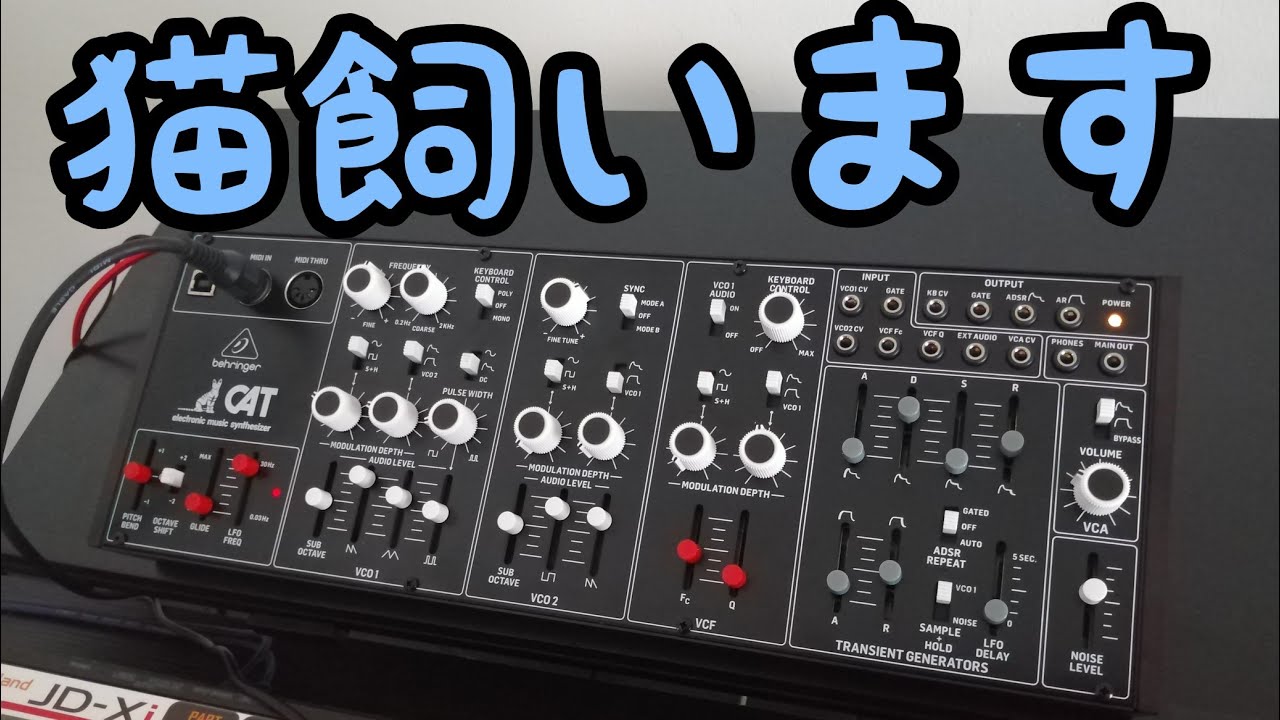 behringer CAT レビュー！ - YouTube