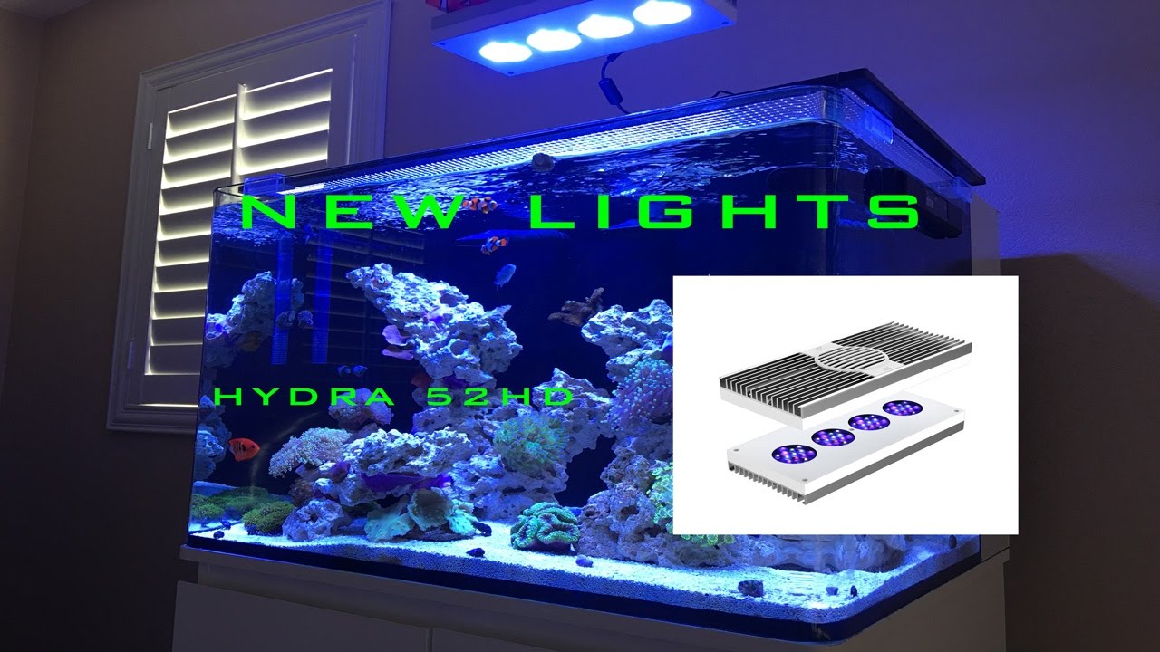 AI HYDRA 52 HD(ハイドラ 52HD)水槽用 照明 Đèn LED Hydra 52 HD