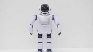 コミュニケーションロボット「Palmi(パルミー)」の自己紹介 - YouTube