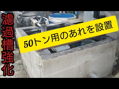 錦鯉 濾過槽 ろ材 自動 こいこいアクア フィルター 大型 錦鯉 濾過槽