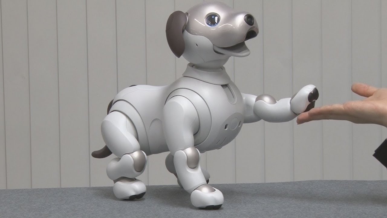 AIBO ロボット犬 グレー/ホワイト エンタテインメントロボット