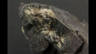 岩手県川井産 菊寿石 原石 233g｜天然石 原石 通販のキラリ石