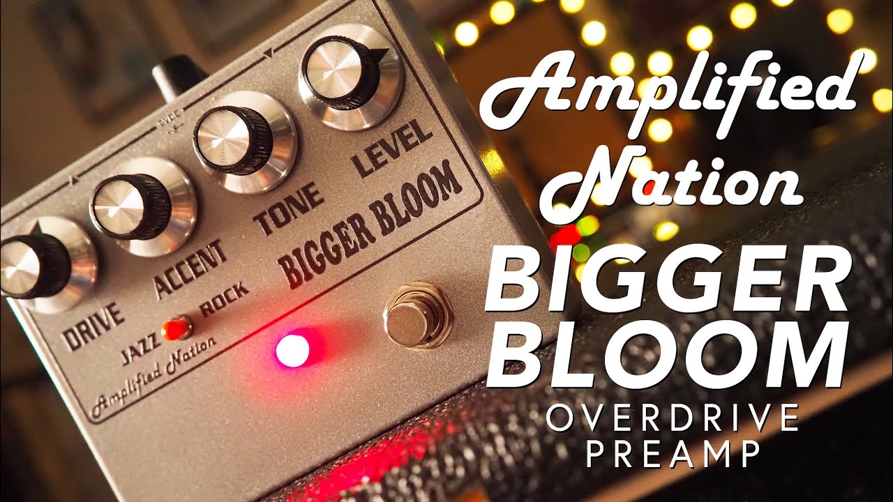 Bigger Bloom Overdrive - Amplified Nation