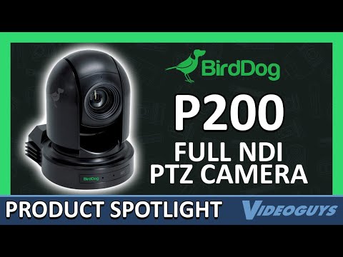 BirdDog P200 PTZ Camera Massive Price Drop! | Videoguys Product