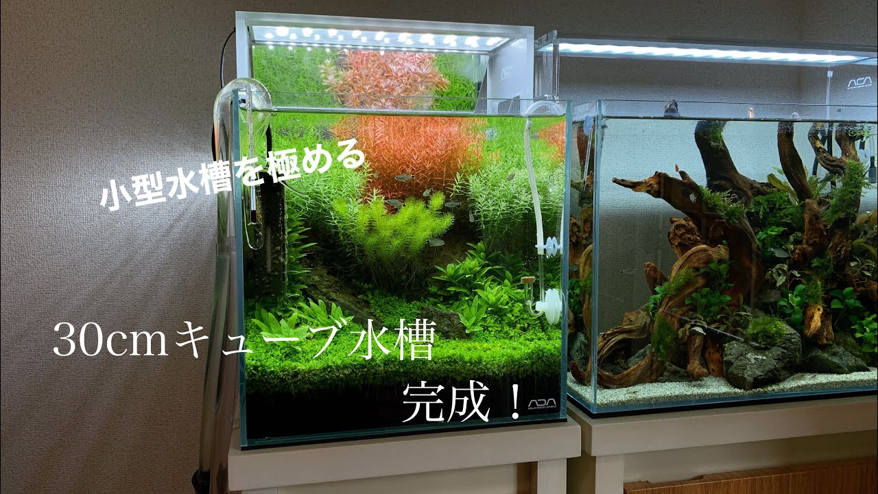 ADA 30cm水槽セット ADA 30キューブ水槽セット 30センチ水槽セット ADA