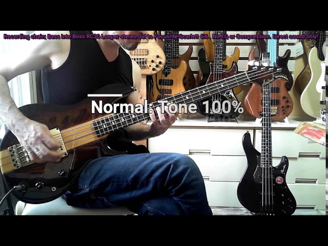 Aria Pro II VAB-550 1991 ￥55000 AriaproII Guitars Catalog 1991