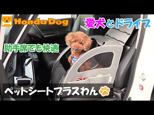 Honda純正】Honda Dog ペットシートプラスわん 【愛犬とドライブ